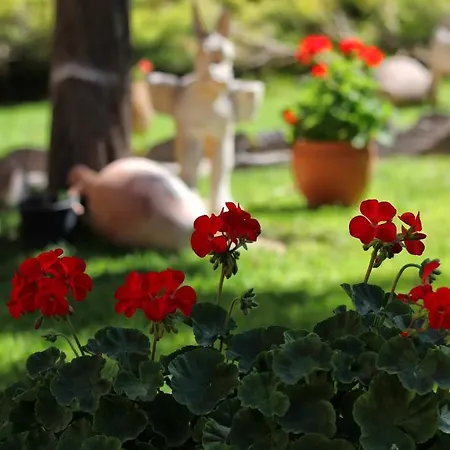 Akuzun Stone Hotel Ürgüp